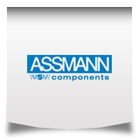logo-assmann-2013
